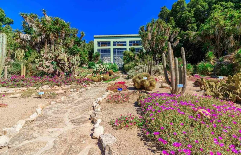 Allée de l’Orto Botanico de Cagliari entourée de végétation méditerranéenne