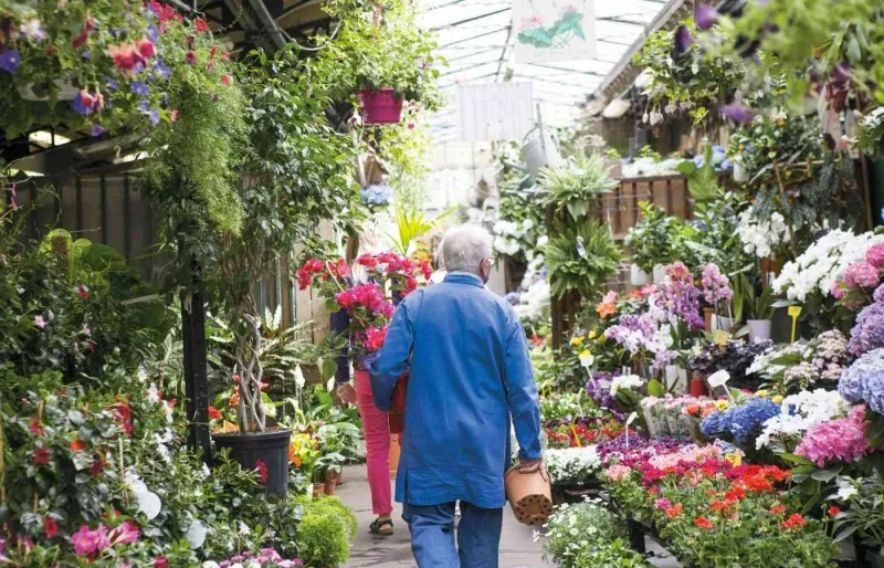 Allée fleurie du marché aux fleurs de l'Île de la Cité à Paris