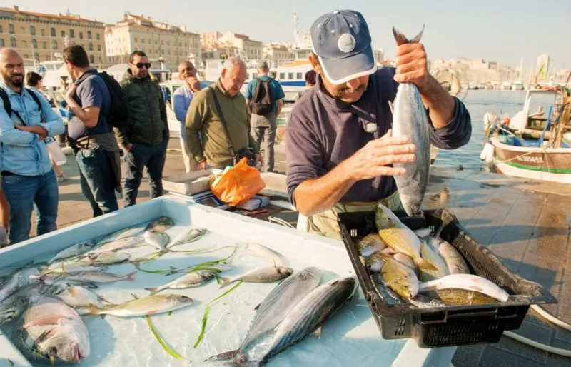 Pêcheurs vendant les poissons de la pêche du jour sur le marché aux poissons du Vieux-Port de Marseille