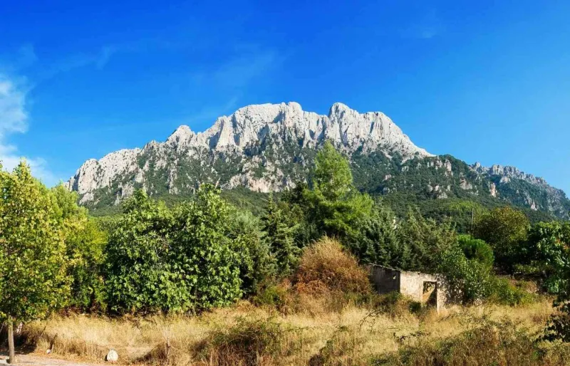 Vue sur le Monte Corrasi, sommet emblématique du Supramonte