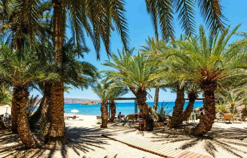 Palmeraie de Vaï en Crète bordant une plage aux eaux turquoise dans le nord-est de l'île