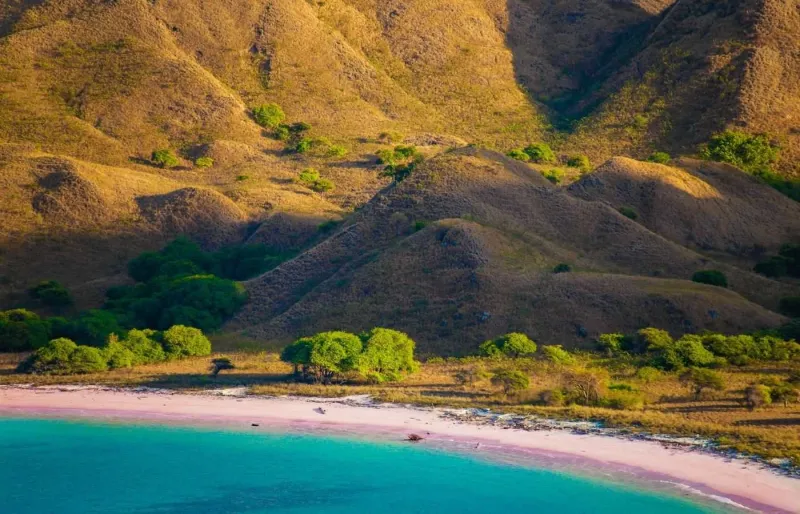 Pink Beach à Komodo, une plage de sable rose bordée d’eaux turquoise dans le parc national de Komodo
