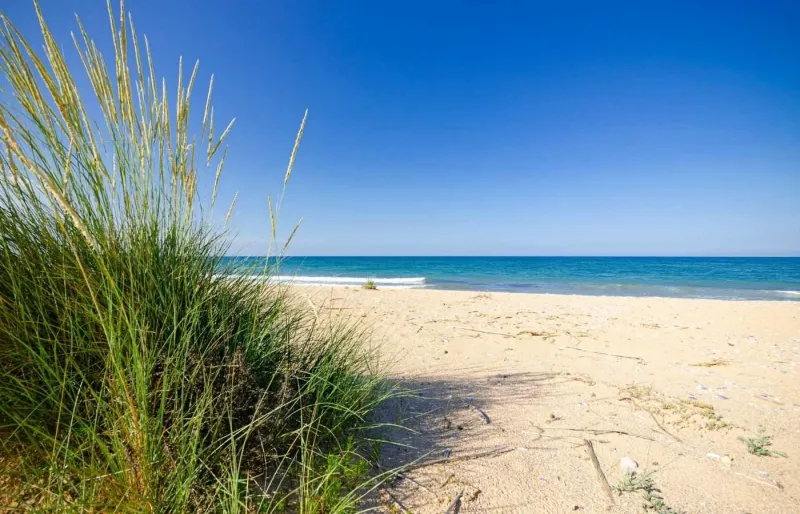 Dunes et plage de sable de Krapets sur la côte de la mer Noire en Bulgarie