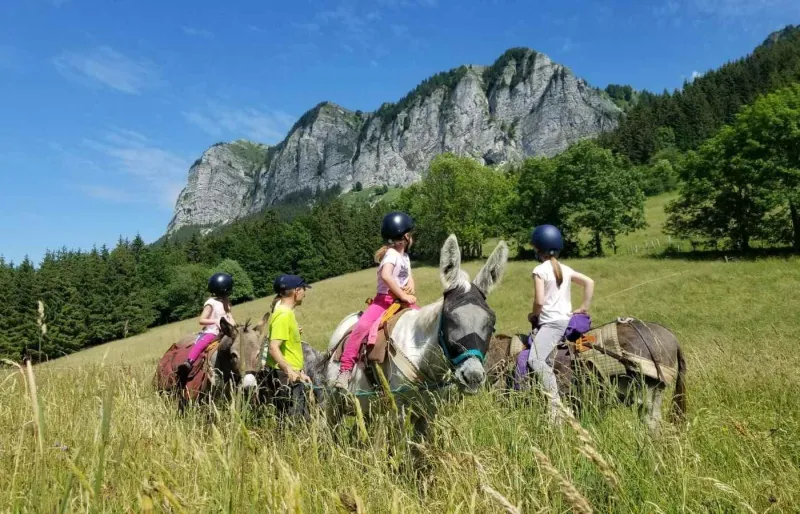 Randonnée avec un âne de la Ferme des Genti'Ânes près d'Évian-les-Bains, au cœur des montagnes du Chablais