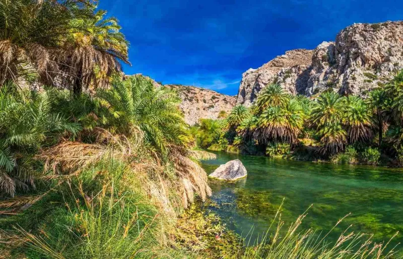 Rivière Megalopotamos traversant la palmeraie de Preveli dans une gorge du sud de la Crète