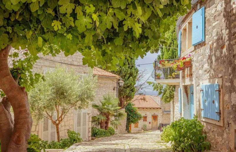 Ruelle pavée bordée de maisons en pierre dans le centre historique de Rovinj en Istrie