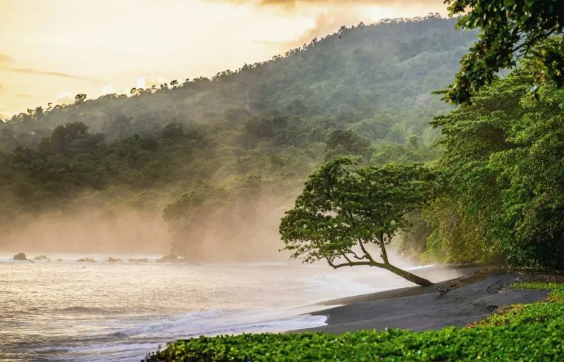 Tangkoko Beach à Sulawesi bordée par une forêt tropicale au lever du jour