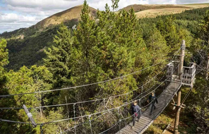 Passerelle suspendue du parcours Terra Alta dans la forêt du lac de Guéry, au cœur du massif du Sancy dans le Puy-de-Dôme.