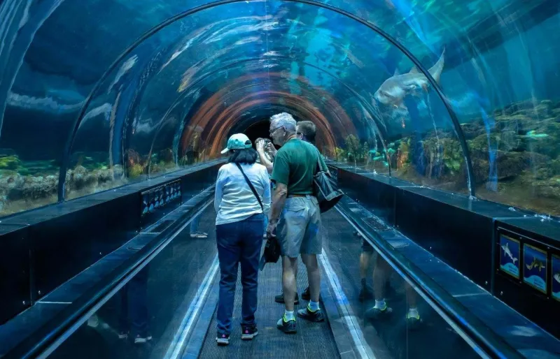 Des visiteurs traversent le tunnel sous-marin de SeaWorld Orlando, entourés de requins.