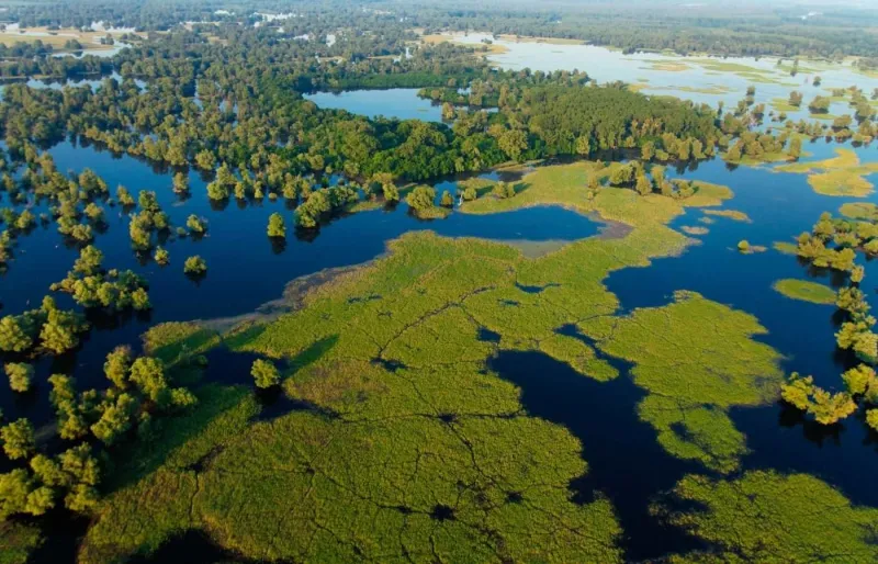 Vue aérienne des zones humides du parc naturel de Kopački Rit en Croatie