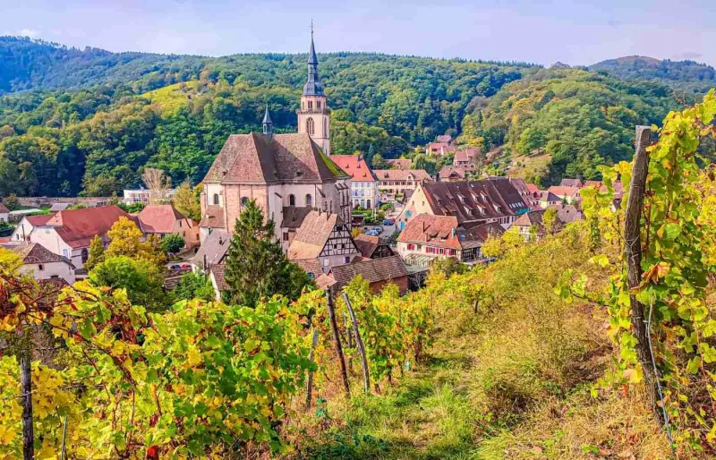 Vue sur l'abbatiale Saints-Pierre-et-Paul et les vignobles d'Andlau en Alsace