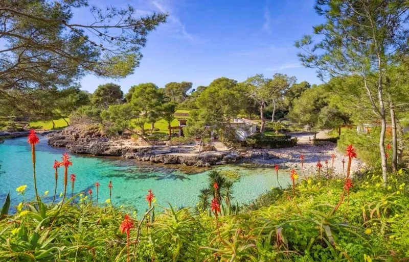 Cala Mitjana, crique sauvage aux eaux turquoise dans le parc naturel de la péninsule du Levant à Majorque