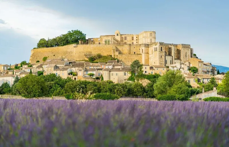 Champ de lavande devant le village et le château de Grignan, en Drôme provençale.
