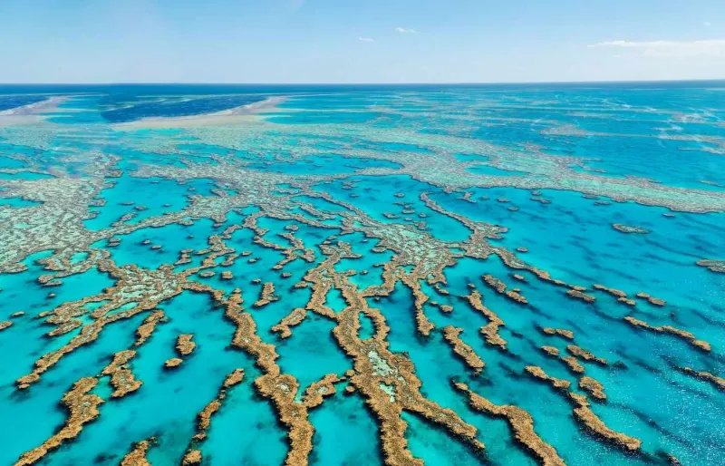 Vue aérienne des formations coralliennes de la Grande Barrière de corail, au large du Queensland, en Australie.