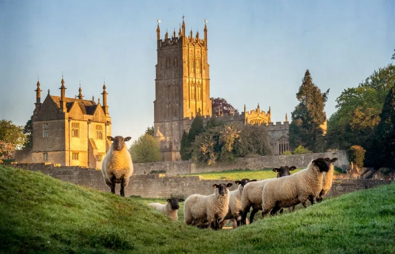 Itinéraire dans les Cotswolds avec des moutons devant une église traditionnelle au cœur de la campagne anglaise