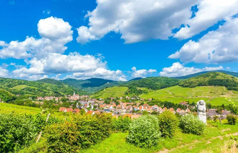 Vue panoramique sur le village d'Itterswiller entouré de vignobles en Alsace