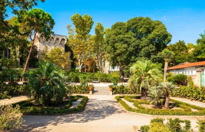 Allées du Jardin des Plantes de Montpellier, le plus ancien jardin botanique de France.