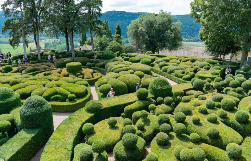 Les jardins de Marqueyssac et leurs buis sculptés dominant la vallée de la Dordogne dans le Périgord Noir