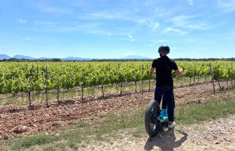 Balade en trotti-bike dans les vignes de l'appellation Grignan-les-Adhémar, en Drôme provençale.