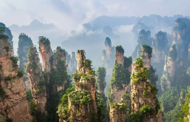 Pitons rocheux du parc forestier national de Zhangjiajie, dans la province du Hunan en Chine