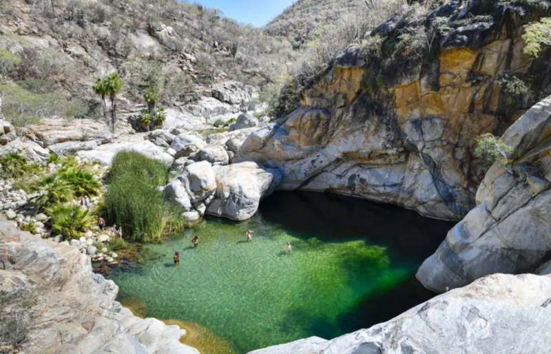 Oasis du canyon de la Zorra dans la Sierra de la Laguna en Basse-Californie, avec piscine naturelle entourée de rochers