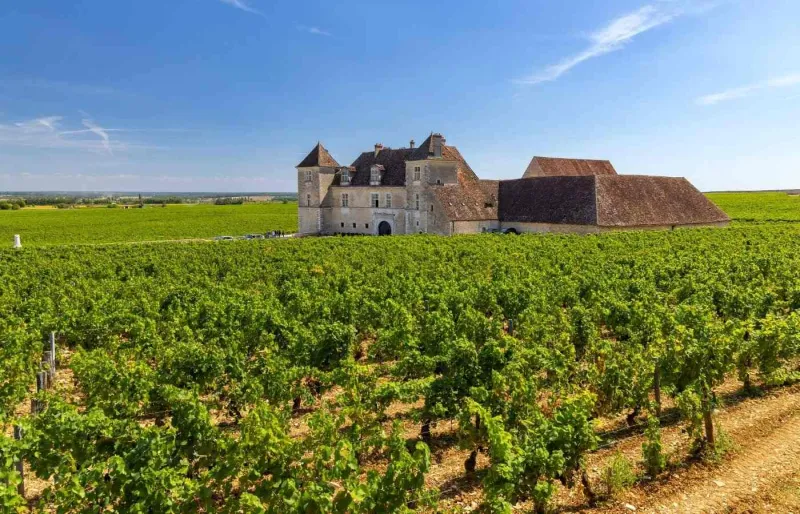 Vue du château du Clos de Vougeot au milieu des vignes en Bourgogne