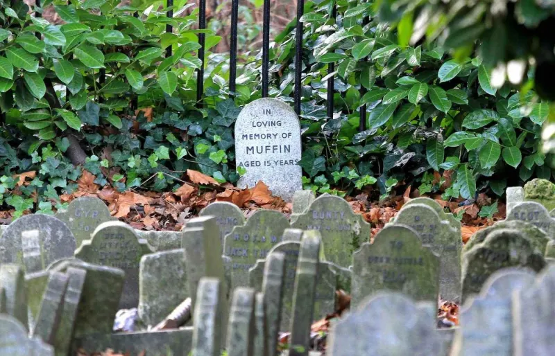 Tombes du cimetière pour animaux dans Hyde Park à Londres