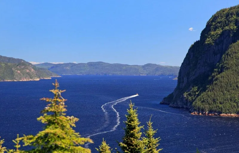 Vue sur le fjord du Saguenay et ses falaises boisées au Québec