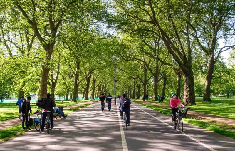 Allée bordée d’arbres dans Hyde Park à Londres