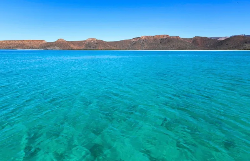 Eaux turquoise de l'île Espíritu Santo en Basse-Californie, refuge naturel des lions de mer et des fous à pieds bleus