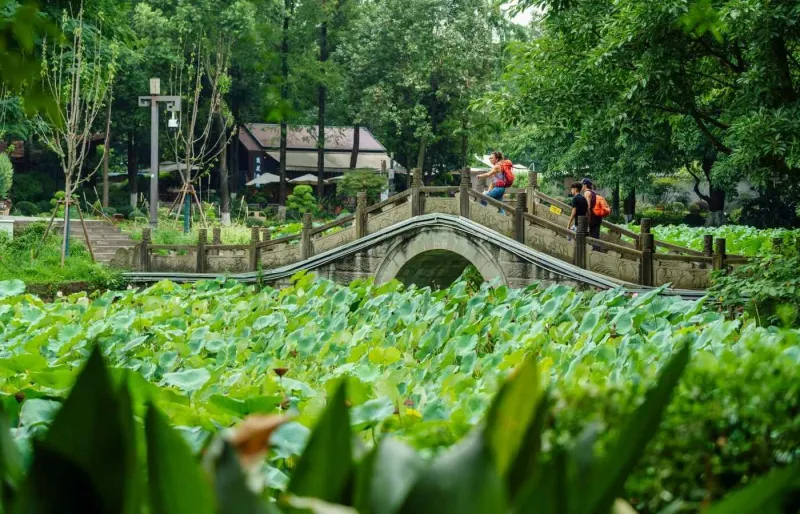 Jardin et pont du parc du Peuple à Chengdu en Chine