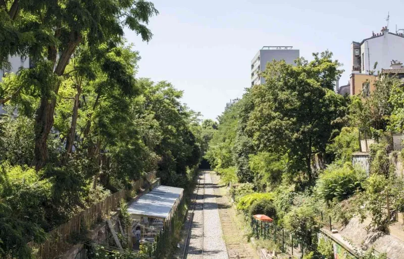 Anciennes voies ferrées de la Petite Ceinture bordées de végétation à Paris