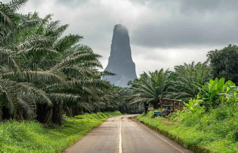 Pico Cão Grande dominant une route et les palmiers à huile à São Tomé