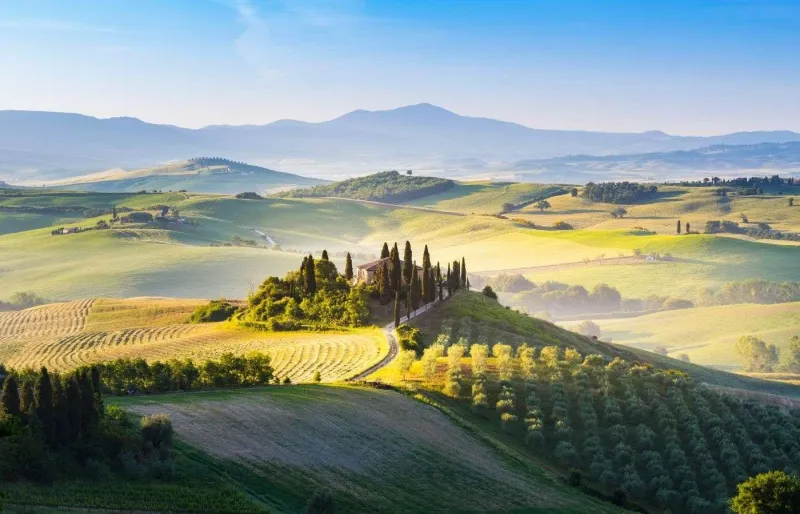 Collines et cyprès dans la campagne toscane en Italie  Nom de fichier