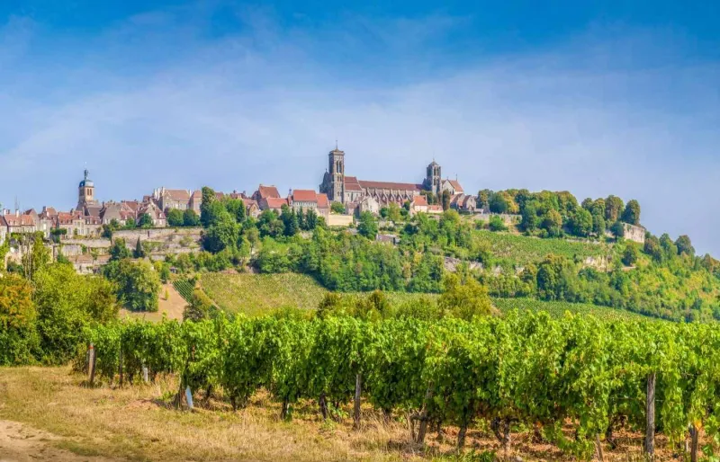 Village de Vézelay et basilique Sainte-Marie-Madeleine dominant les vignobles de Bourgogne