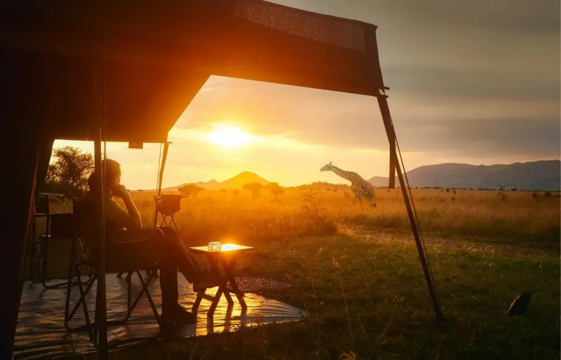 Camp de toile en Tanzanie avec une girafe dans la savane au coucher du soleil