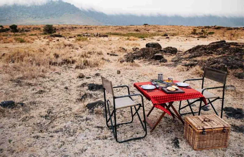 Déjeuner privé pour deux en pleine savane lors d’un safari en Tanzanie