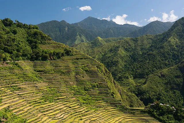 RiziÃ¨res en terrasses sur les montagnes Ifugao, Philippines 