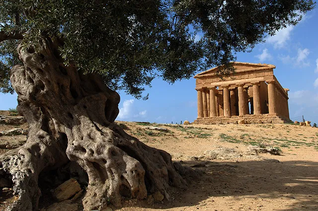 Temple de la Concorde, Sicile 