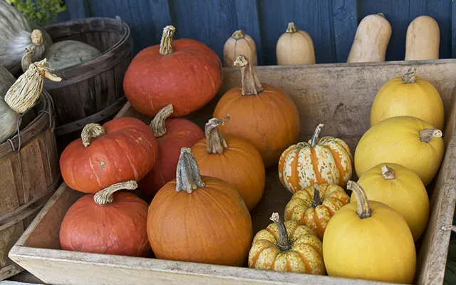 Beaucoup de quartiers ont leur propre marchÃ© fermier 