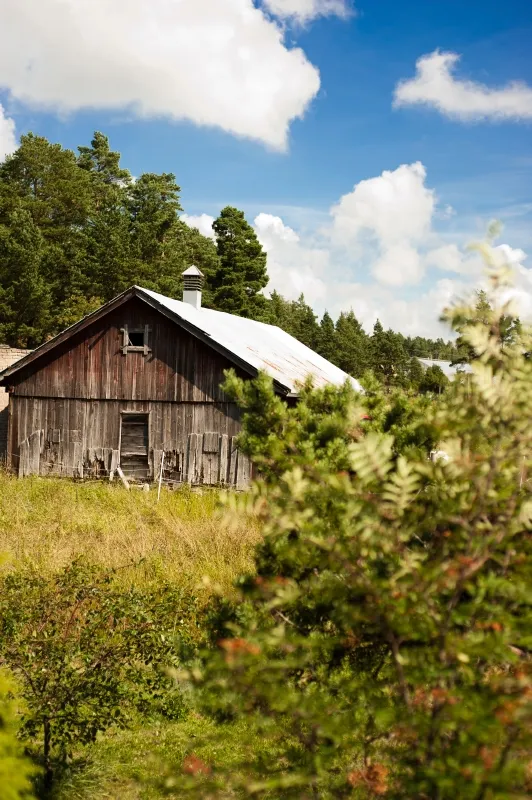 Vieille grange, Finlande 