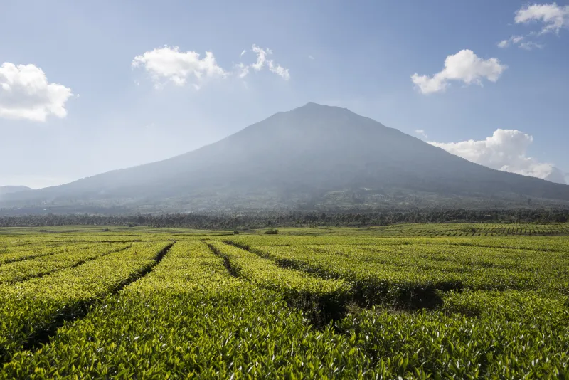 Valle de Kerinci, Sumatra, Indonesie