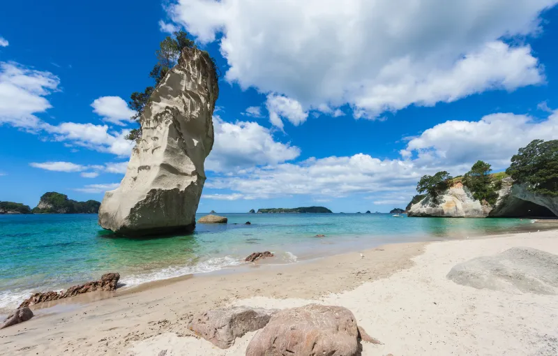  La pÃ©ninsule de Coromandel, qui s'avance dans le Pacifique, jouit de l'un des climats les plus agrÃ©ables du pays, et n'est qu'Ã  1 heure 30 de route d'Auckland.