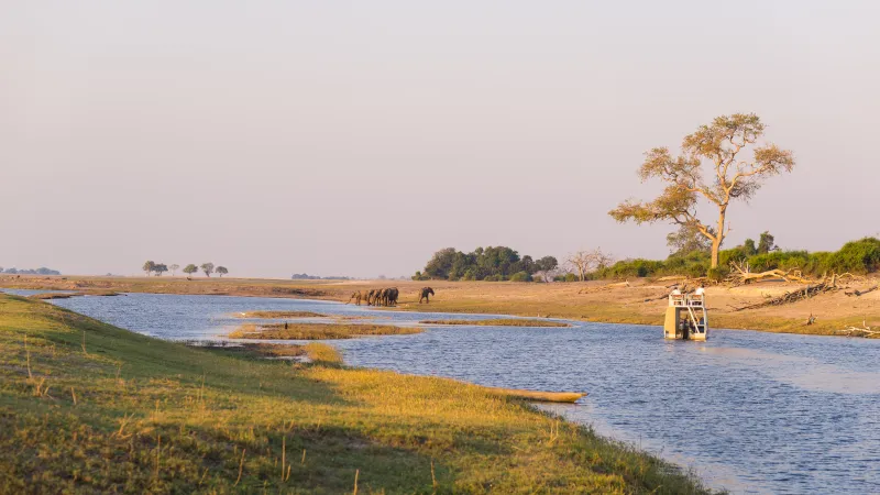 Parc national de Chobe, Botswana Parc national de Chobe, Botswana