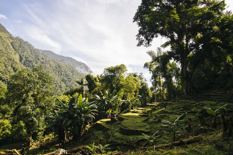 Ciudad Perdida, Sierra Nevada de Santa Marta, Colombie Ciudad Perdida, Sierra Nevada de Santa Marta, Colombie