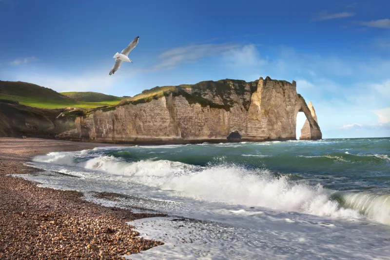 Les falaises d'Etretat Les falaises d'Etretat