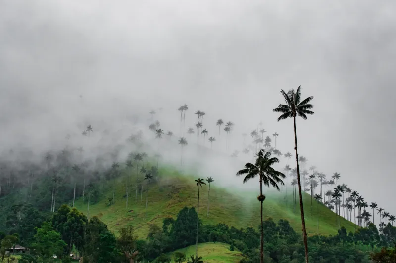 Attendez-vous Ã  toutes sortes de climats en Colombie.