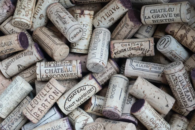 Impossible pour les amateurs de visiter Bordeaux sans une dégustation de vin Impossible pour les amateurs de visiter Bordeaux sans une dégustation de vin