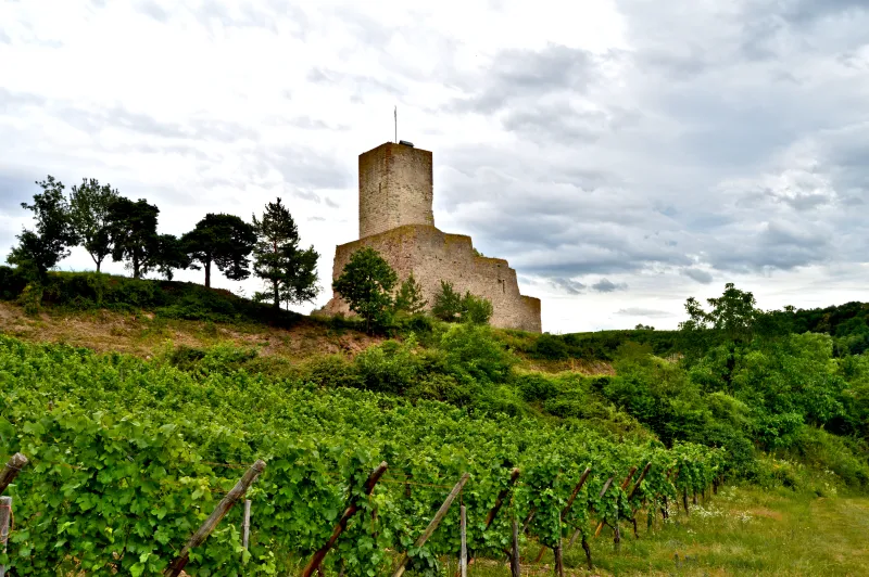 Le fameux donjon du château du Wineck Le fameux donjon du château du Wineck