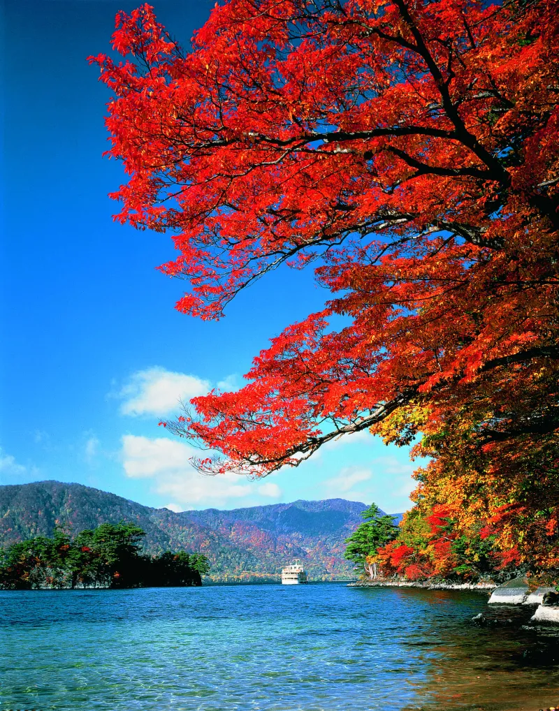 Le lac de Towada rÃ©vÃ¨le toute sa beautÃ© grÃ¢ce aux couleurs de l'automne